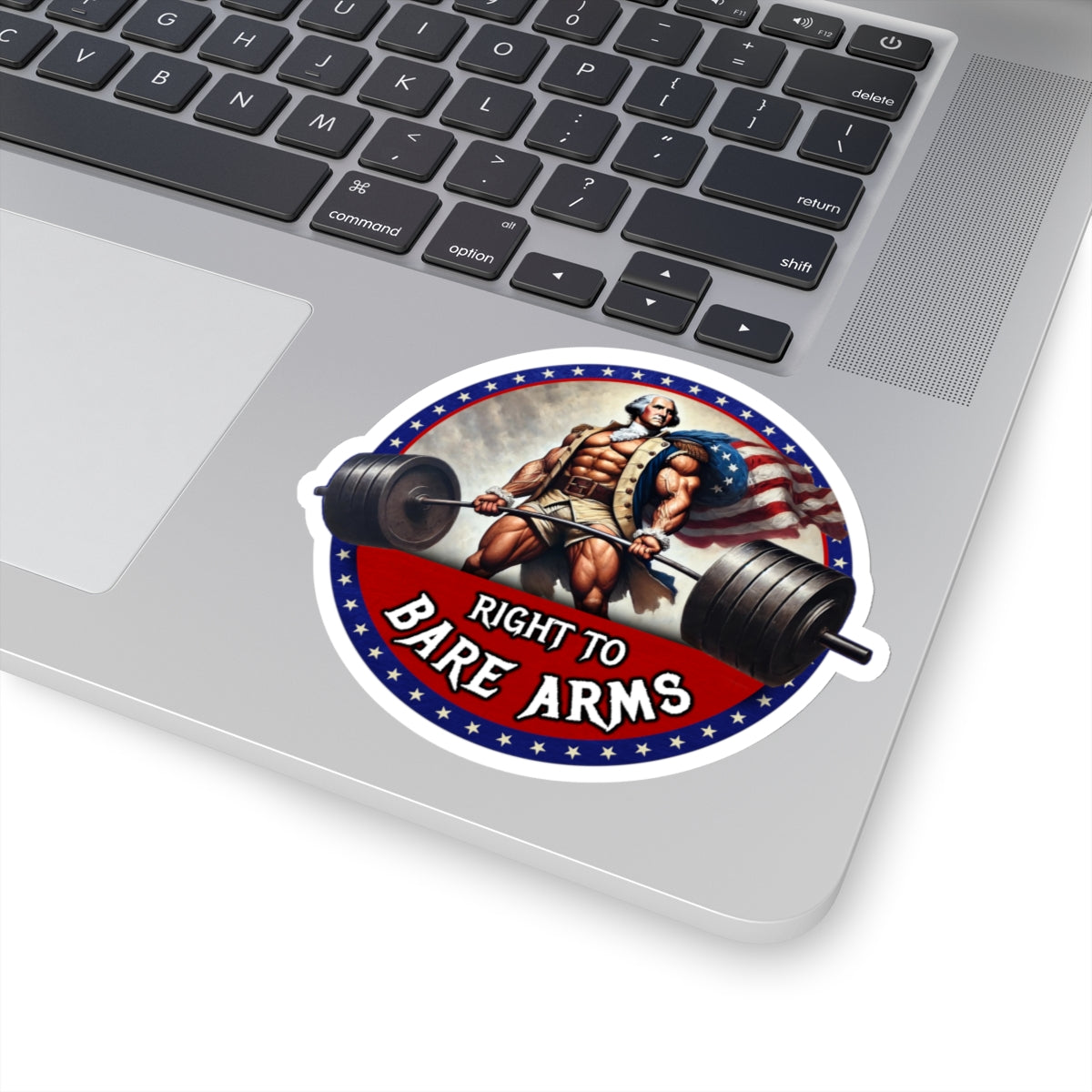 Right to Bare Arms Sticker